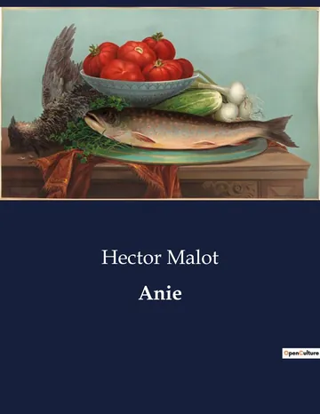 Anie d’Hector Malot, couverture du livre