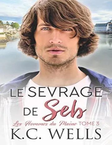 Les Hommes du Maine 3 Le sevrage de Seb de K.C. Wells, couverture du livre