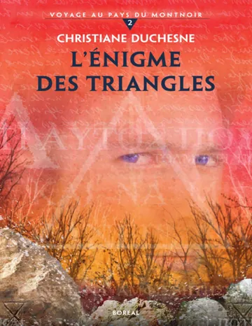 Voyage au pays du Montnoir T2 - L' Énigme des triangles de Christiane Duchesne, couverture du livre