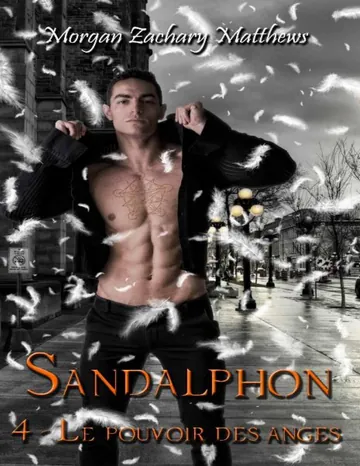 Le pouvoir des anges de Morgan Zachary Matthews, couverture du livre