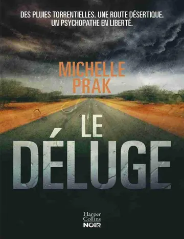 Le déluge de Michelle Prak, couverture du livre