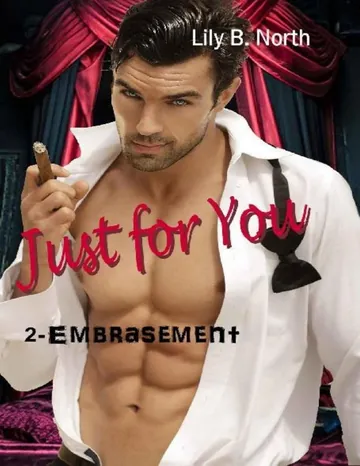 Embrasement de Lily B. North, couverture du livre