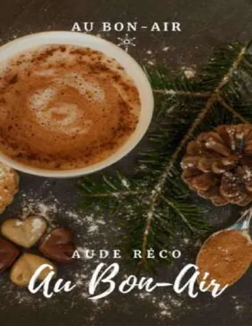Au bon-air T1 d’Aude Réco, couverture du livre