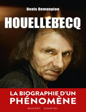 Houellebecq de Denis Demonpion, couverture du livre