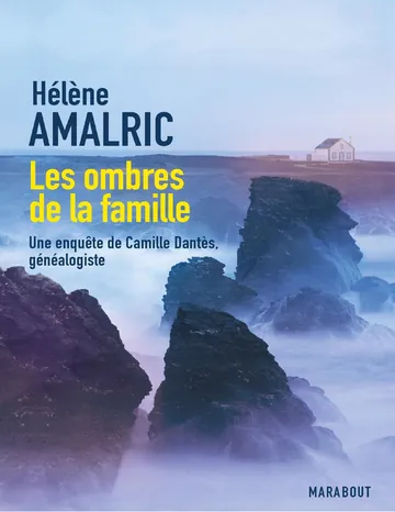 Les ombres de la famille d’Hélène Amalric, couverture du livre