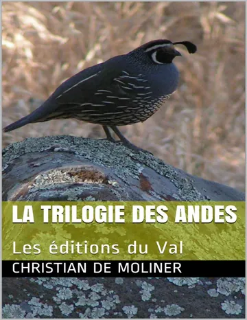 La trilogie des Andes de Christian de Moliner, couverture du livre