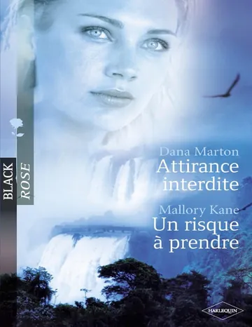 Attirance interdite - Un risque à prendre de Dana Marton, couverture du livre