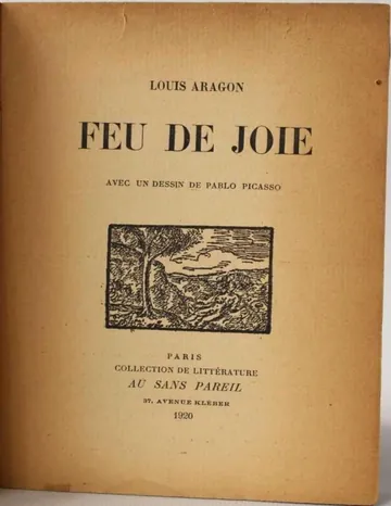 Feu de joie d’Aragon, couverture du livre