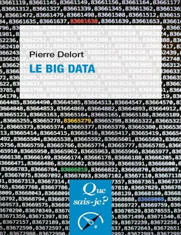Le Big Data de Pierre Delort, couverture du livre