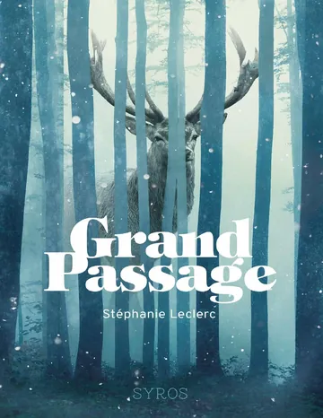 Grand Passage de Stéphanie Leclerc, couverture du livre