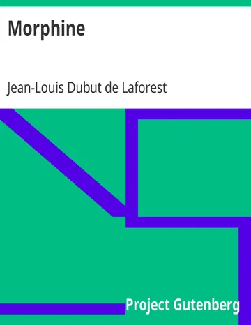 Morphine de Jean-Louis Dubut de Laforest, couverture du livre