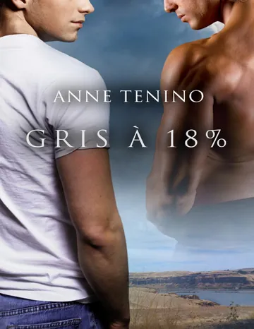 Gris à 18% d’Anne Tenino, couverture du livre