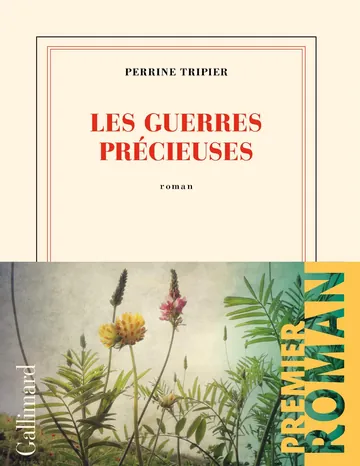 Les guerres précieuses de Perrine Tripier, couverture du livre