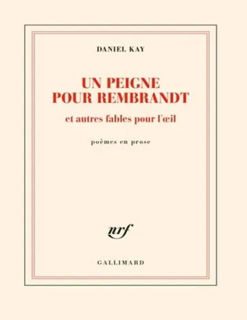 Un peigne pour Rembrandt et autres fables pour l'œil de Daniel Kay, couverture du livre