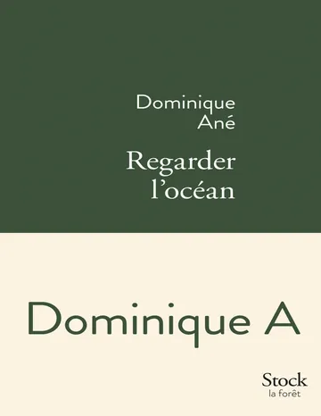 Regarder l'océan d’Ané, couverture du livre