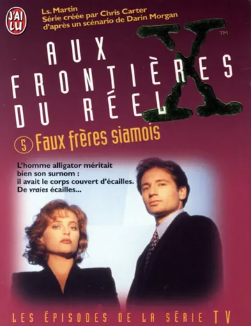 Faux Frères Siamois de Les Martin, couverture du livre