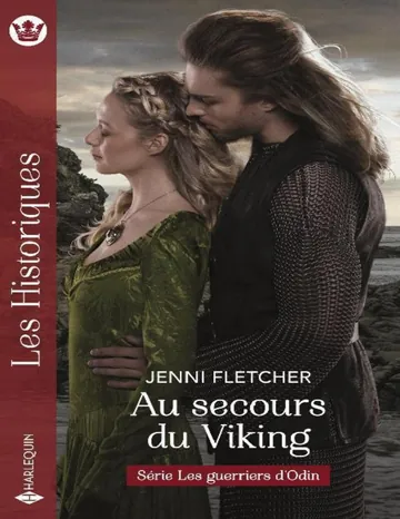 Au secours du Viking de Jenni Fletcher, couverture du livre
