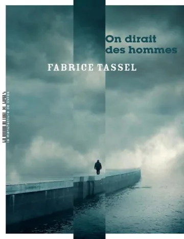 On dirait des hommes de Fabrice Tassel, couverture du livre