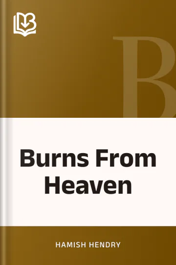 Burns From Heaven by Hamish Hendry, book cover