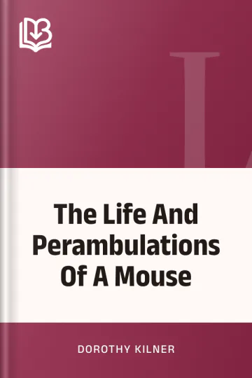 The Life And Perambulations Of A Mouse by Dorothy Kilner, book cover
